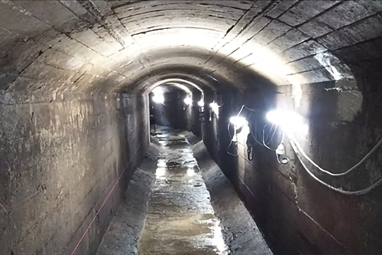 全国特別重点調査